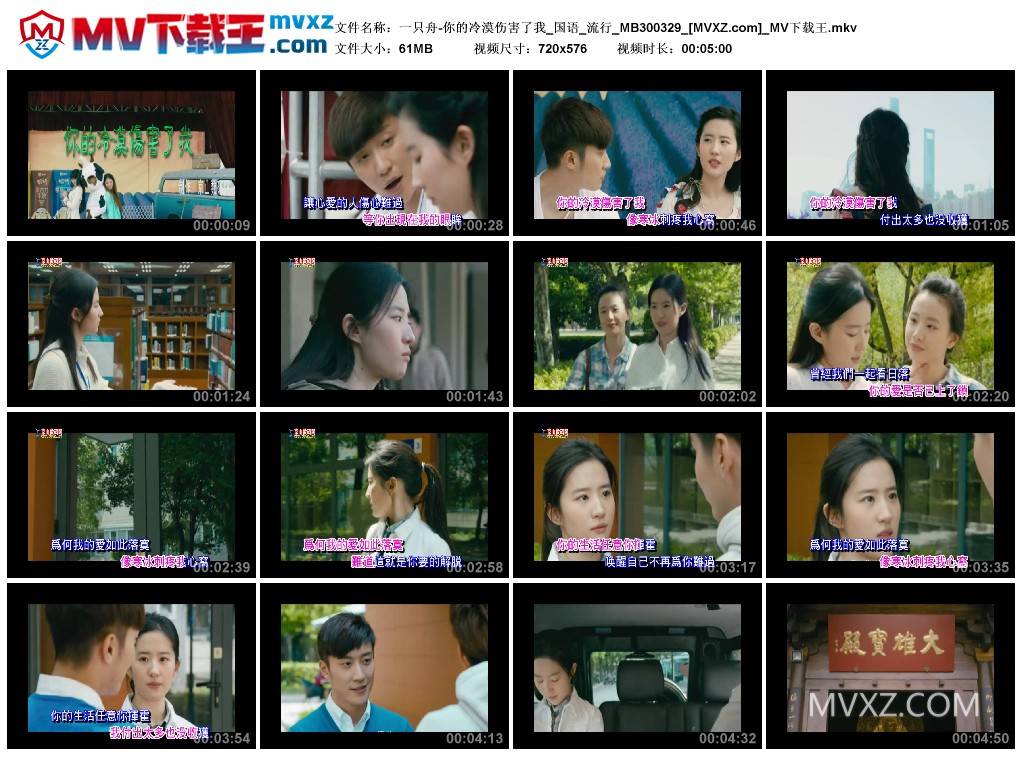 一只舟-你的冷漠伤害了我_国语_流行_MB300329